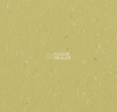 Линолеум Forbo Marmoleum Solid Piano 3634-363435 meadow фото 1 | FLOORDEALER